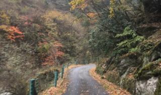 四川自然保护区 四川自然保护区