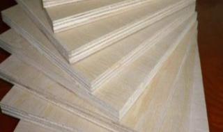 杨木胶合板 杨木胶合板