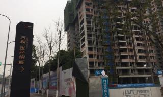 万科房地产 万科房地产