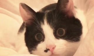 女人何苦为难女人剧情 女人何苦为难女人剧情